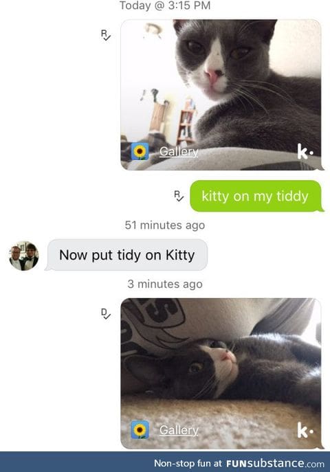 Tiddy kitty