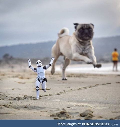 Run stormtrooper, run!