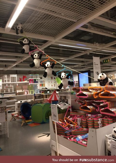 Panda getaway mission in IKEA
