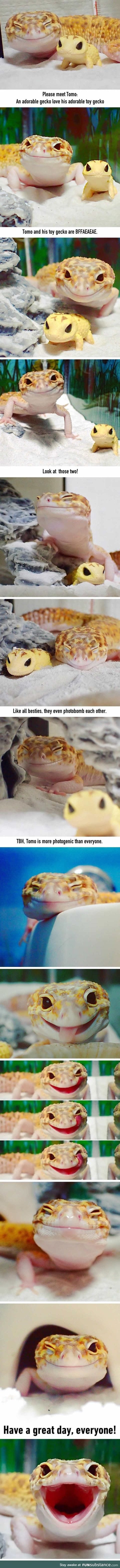 This Gecko Smiling With His Toy Gecko Is The Purest Thing You'll See Today