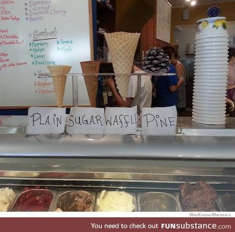 Ice cream shop with a vegan option.
