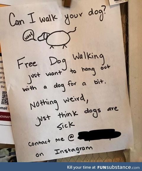 Doggos are wholesome