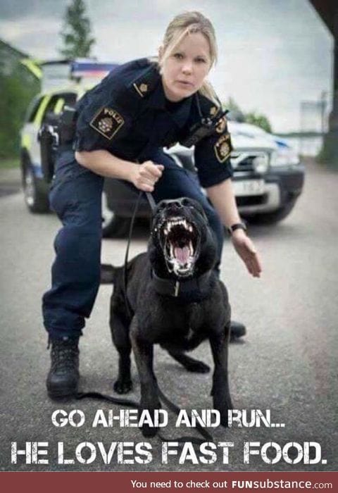 here's to the awesome K9 units
