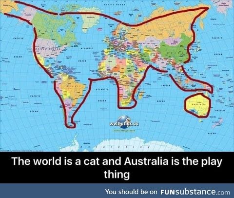 The world is a cat