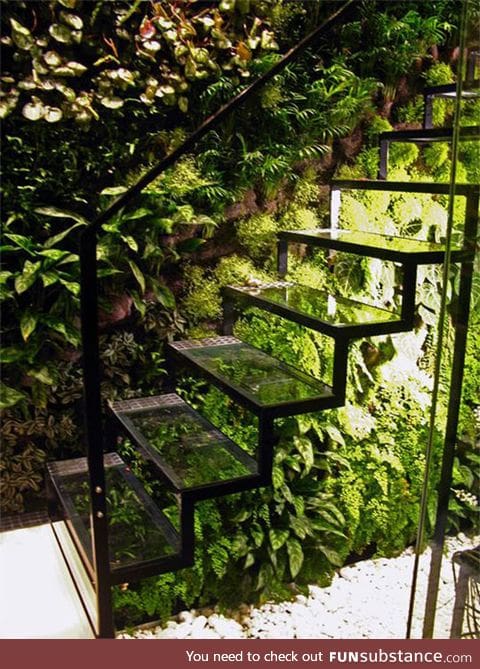 Greenhouse staircase