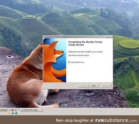 Completing the Mozilla Firefox Setup Wizard