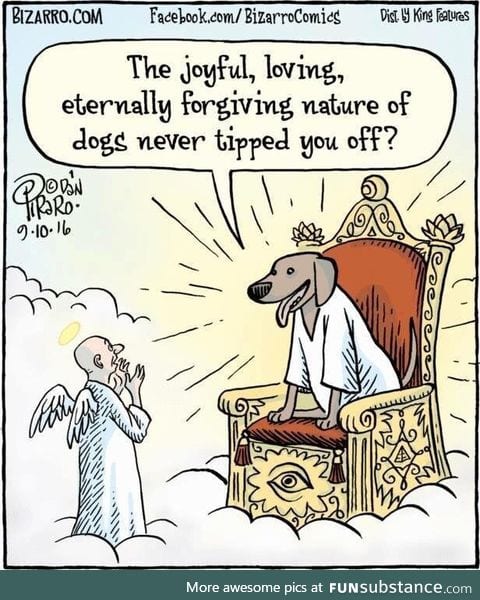 The Afterlife