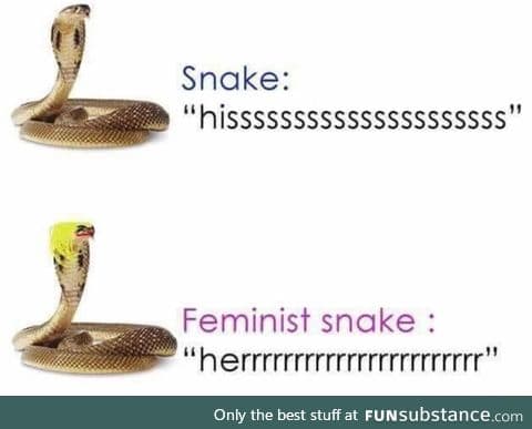 Snake are sexist