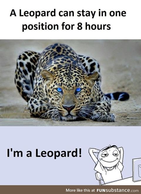 I am Leopard