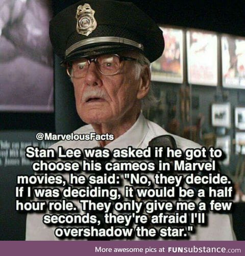 Stan marvelous lee