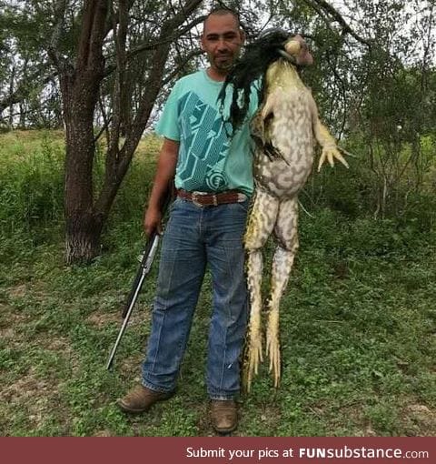 A FROG, Weight 6 KG, almost a adult human tall, found at South Texas