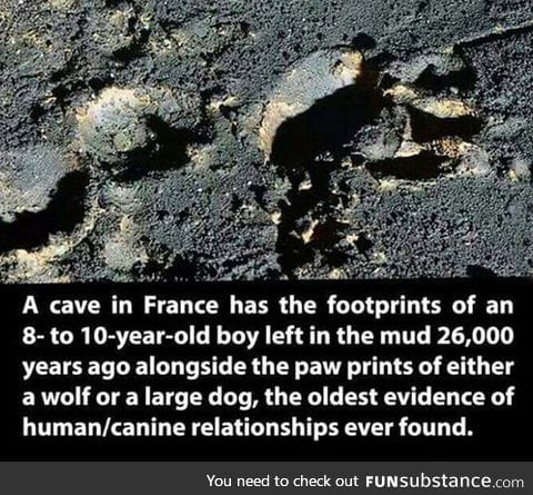 Oldest evidence