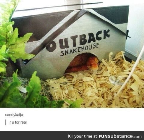 Snekhouse