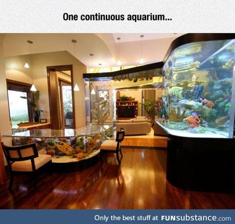 Neverending aquarium