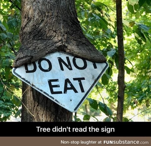 Tree does not care