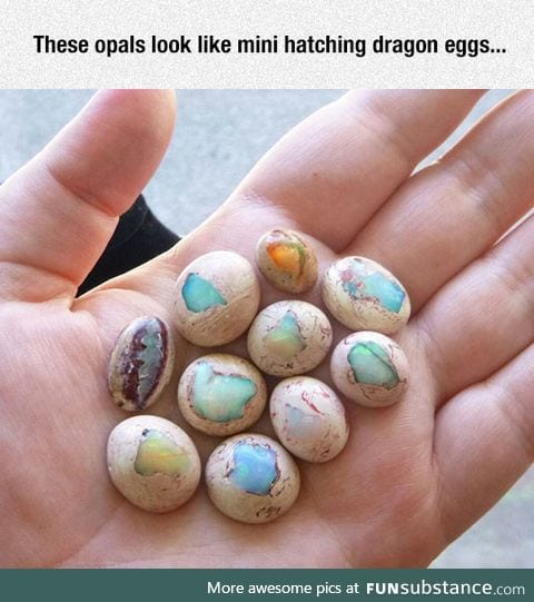 Mini dragon eggs