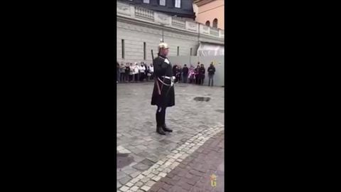 Swedish Guards steps on lego