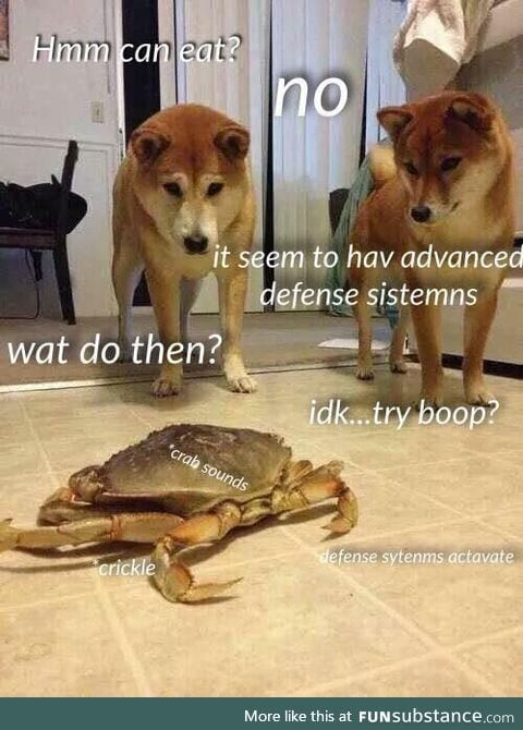 Doges and Crabe