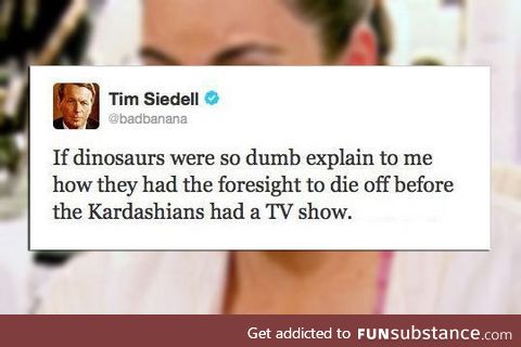 If dinosaurs were dumb