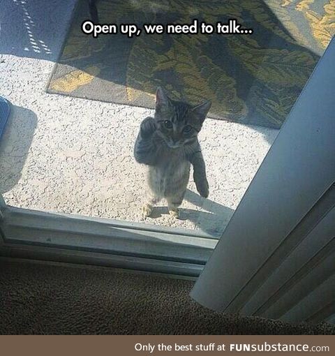 Open up right meow!