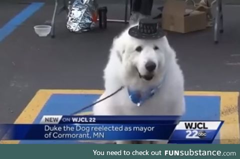Pupular mayor elected fur the third time