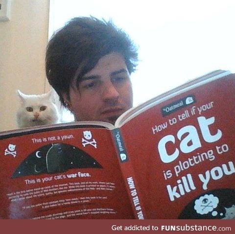 That cat looks suspicious as hell