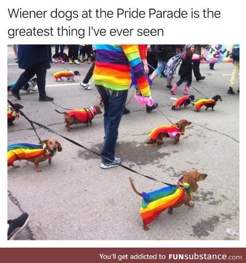 Wieners lol