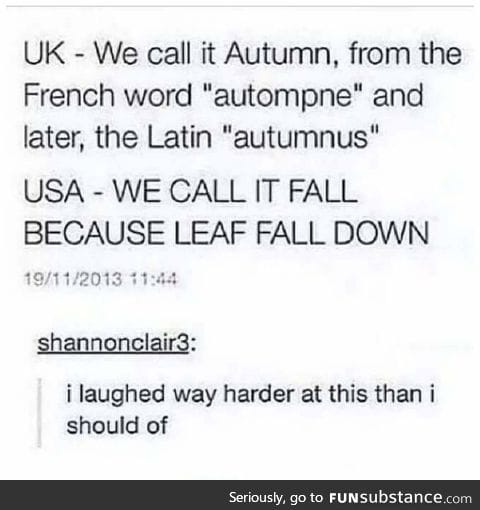 LEAF FALL! MUCH GRAVITY!