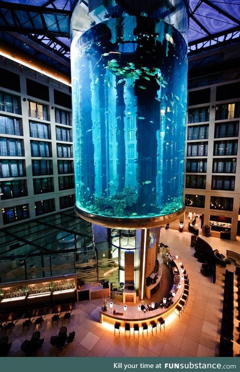 This aquarium in Berlin has an elevator passing through it