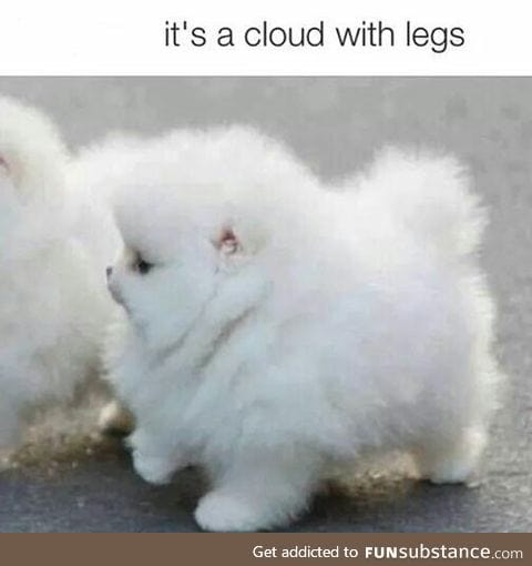 That fluffiness