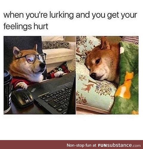 Sad doggo