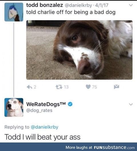 They're good dogs, Todd