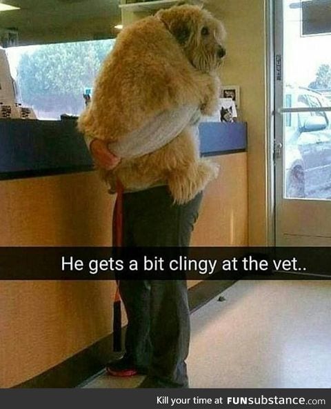 He gets a big clingy at the vet.