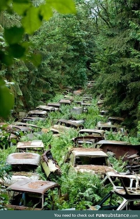Abandoned cars in the Ardennes