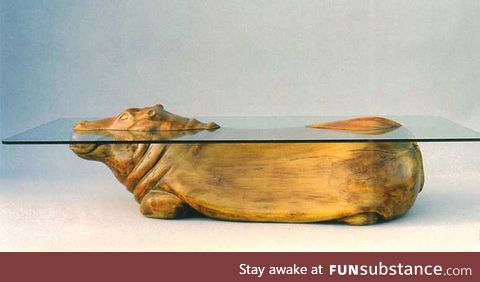 Partially submerged Hippo table