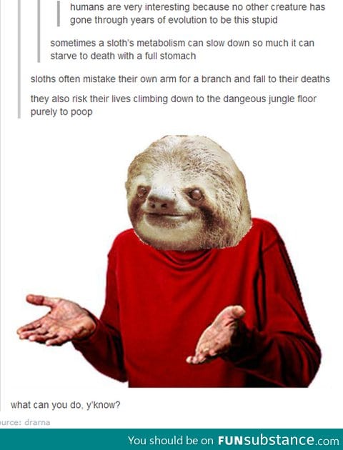 Sloths are not good lifeforms