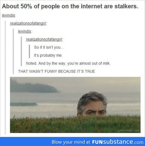 Stalkers on the Internet