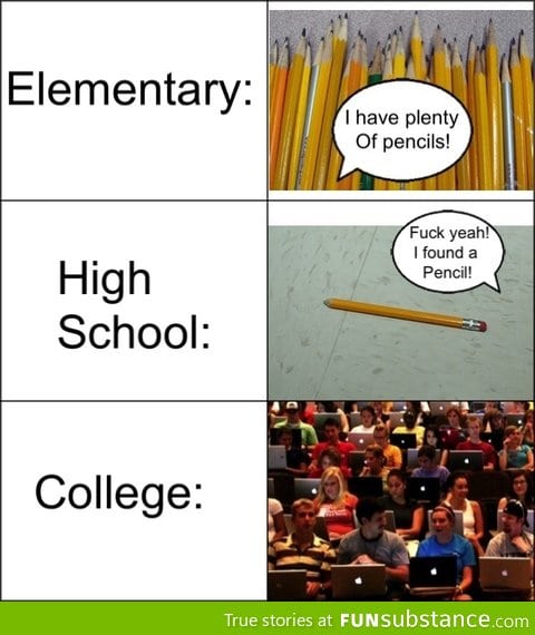 School evolution