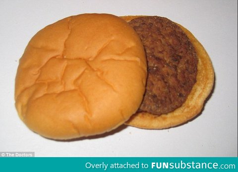 this is just a normal Mcdonalds burger right? it's over 14 years old