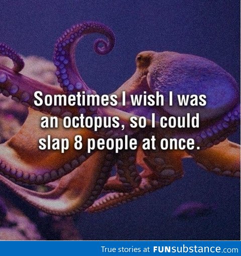 Being an octopus