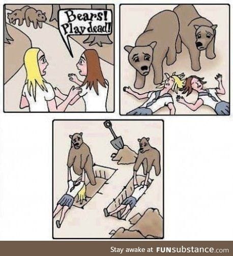 What to do in a bear attack