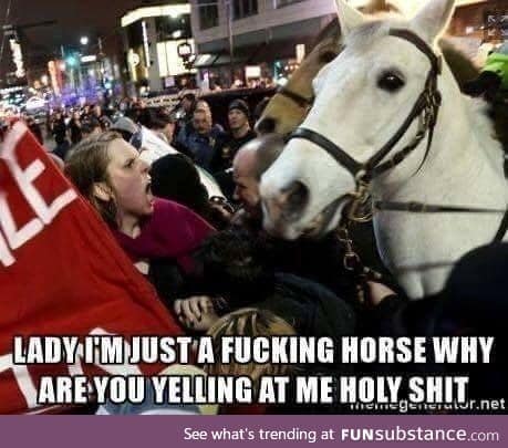 Poor horse