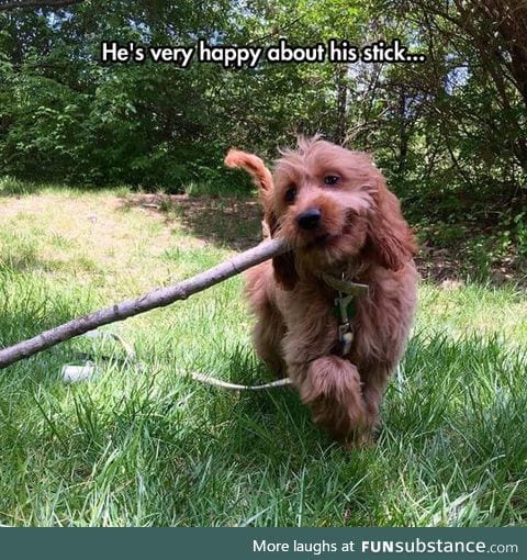'I like this stick, this is a very good stick'