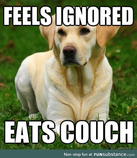 How I often feel, maybe If I eat a couch people will notice