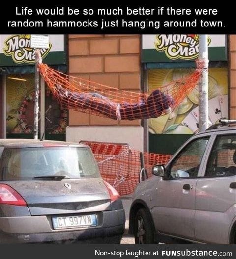 Life would be more fun with public hammock