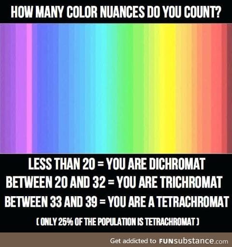 How many colors can you count?