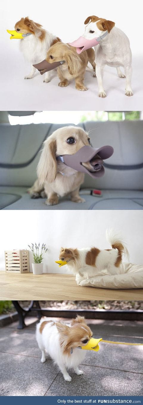 Duck-billed protective muzzle for dogs