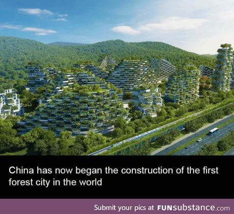 Forest city in China