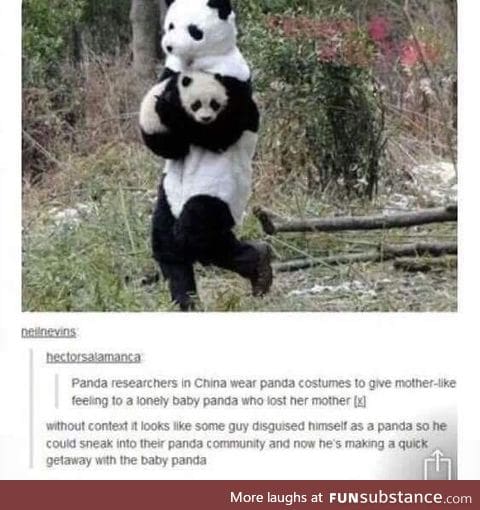 Fun fact about Pandas
