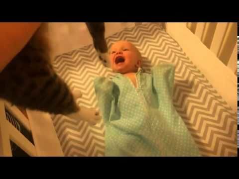 Baby excited to see a cat